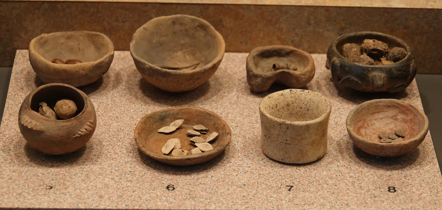 1. Annona Fruit 2. Agave 3. Cherry 4. Mexican Calabash 5. Chupandilla 6. Mesquite 7. Parota 8, Calabash