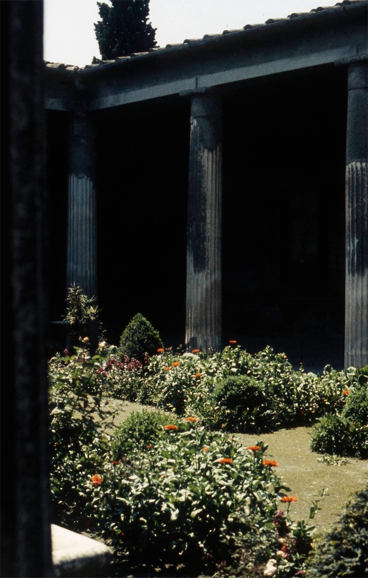 1974 Pompeii, Italy 799