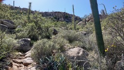 Baja California