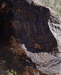 East of Radium Springs50