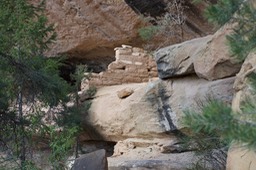 Mesa Verde 1