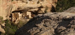 IMG_0768