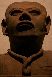 IMG_6530