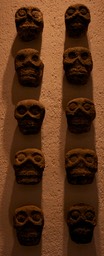 IMG_6597
