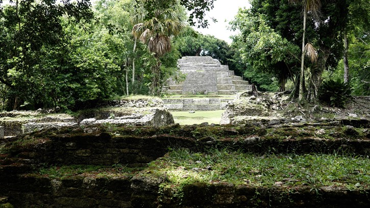 Jaguar Temple 2