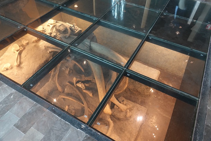 MAMUT DE SANTA ISABEL IXTAPAN II