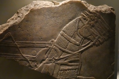  Palace of Ashurnasirpal  a