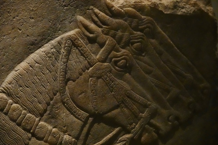  Palace of Ashurnasirpal b