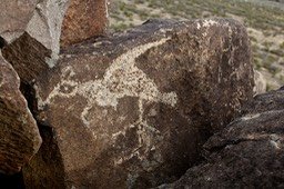 Three Rivers 32315  31